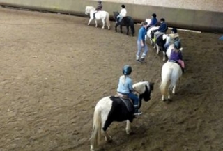  Clases de equitación en la cantera 